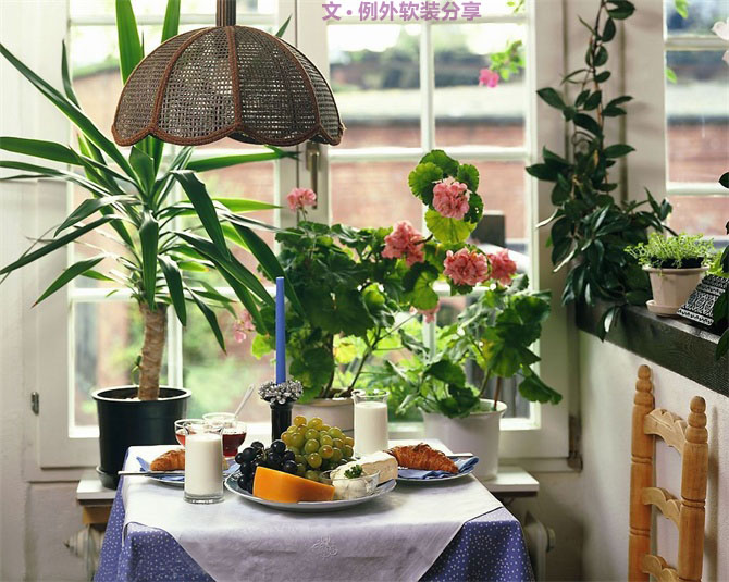 家里植物這樣擺，打造”另類“居室（一）