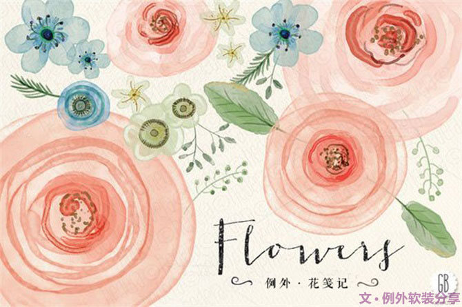 【例外.花箋記】洋牡丹，花叢中的人氣精靈