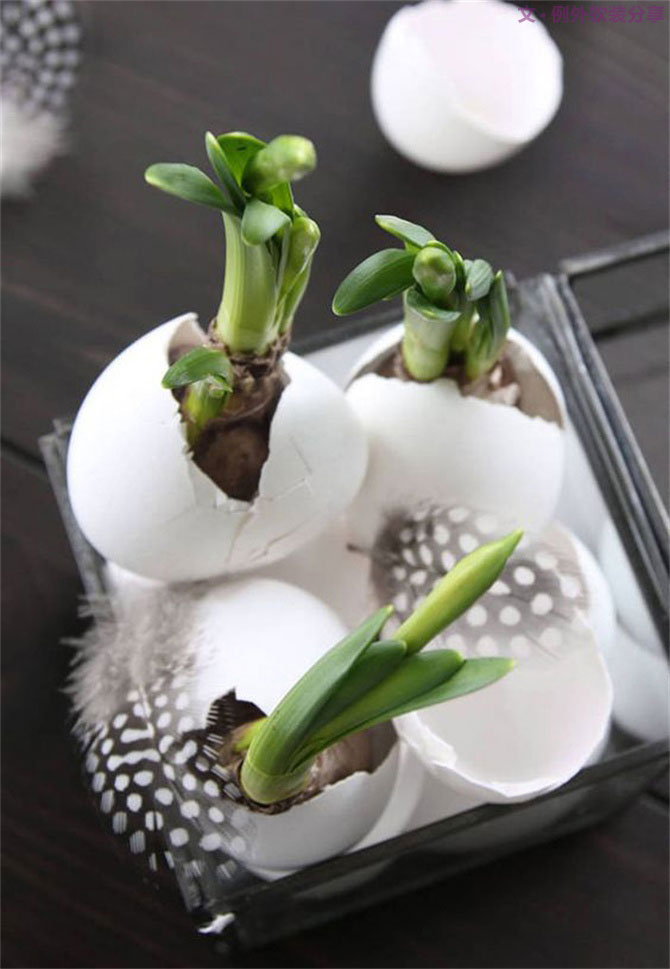 “她”不小心打碎了雞蛋，結(jié)果美翻了整個(gè)家！-別墅設(shè)計(jì),軟裝設(shè)計(jì),室內(nèi)設(shè)計(jì),豪宅設(shè)計(jì),深圳例外軟裝設(shè)計(jì)公司