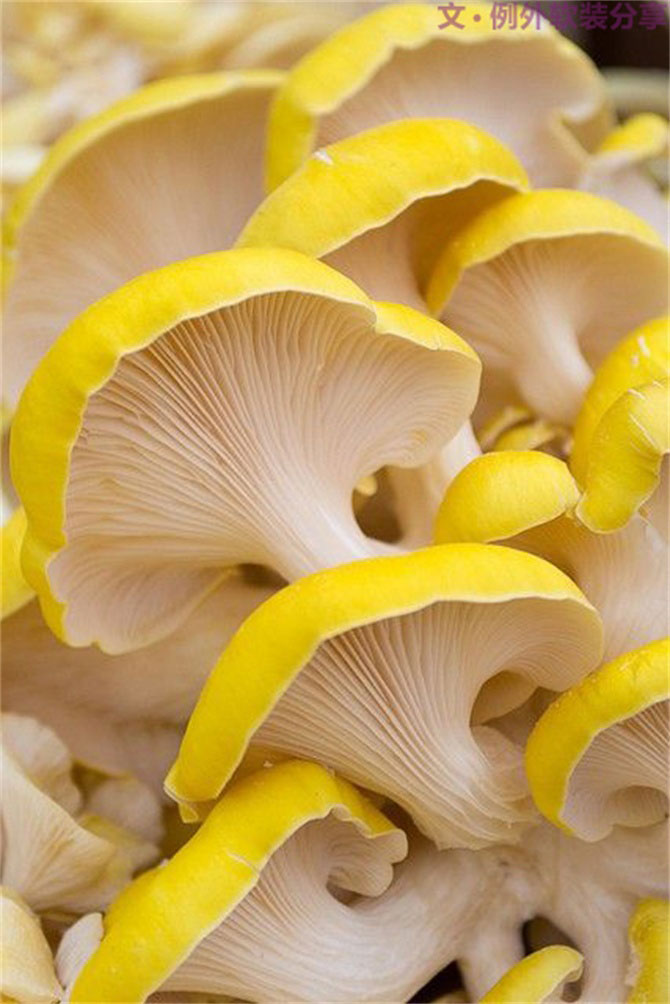 深圳又雙叒叕要入冬了，這次成功登陸？-別墅設計,軟裝設計,室內(nèi)設計,豪宅設計,深圳例外軟裝設計公司