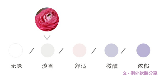 【例外·花箋記】洋牡丹，花叢中的人氣精靈-別墅設(shè)計(jì),軟裝設(shè)計(jì),室內(nèi)設(shè)計(jì),豪宅設(shè)計(jì),深圳例外軟裝設(shè)計(jì)公司