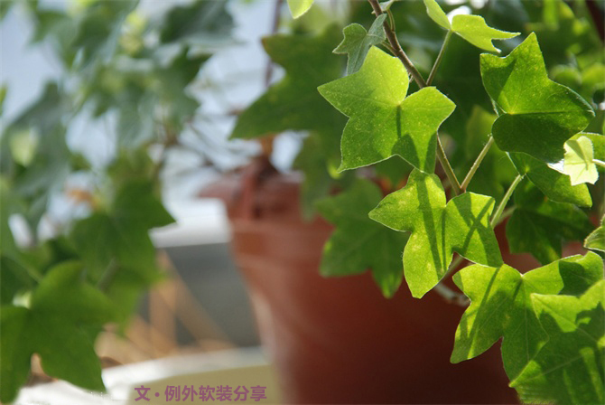 新房子裝修甲醛從哪里來？-別墅設(shè)計(jì),軟裝設(shè)計(jì),室內(nèi)設(shè)計(jì),豪宅設(shè)計(jì),深圳例外軟裝設(shè)計(jì)公司
