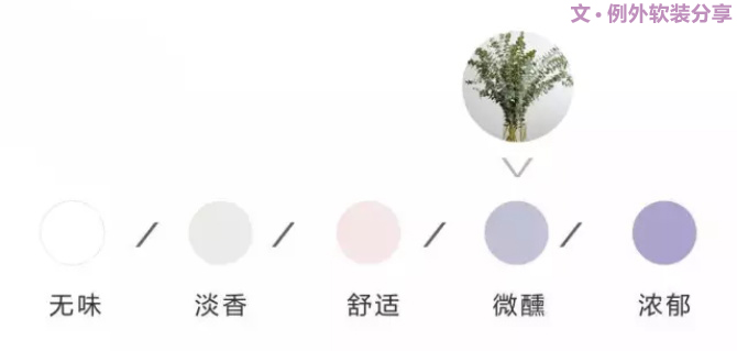【例外.花箋記】尤加利，花藝界的百搭神葉-別墅設(shè)計,軟裝設(shè)計,室內(nèi)設(shè)計,豪宅設(shè)計,深圳例外軟裝設(shè)計公司